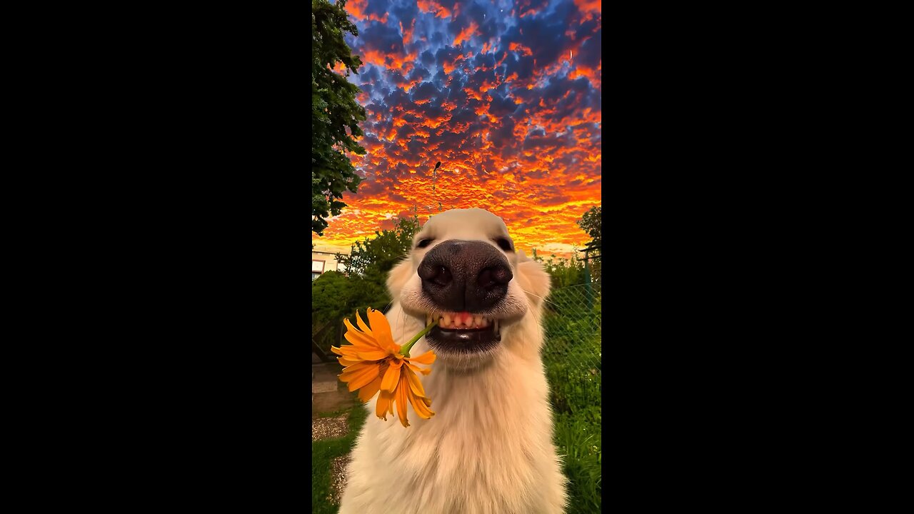 Honey, I'll send you a flower.