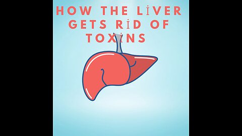 How the Liver gets rid of toxins