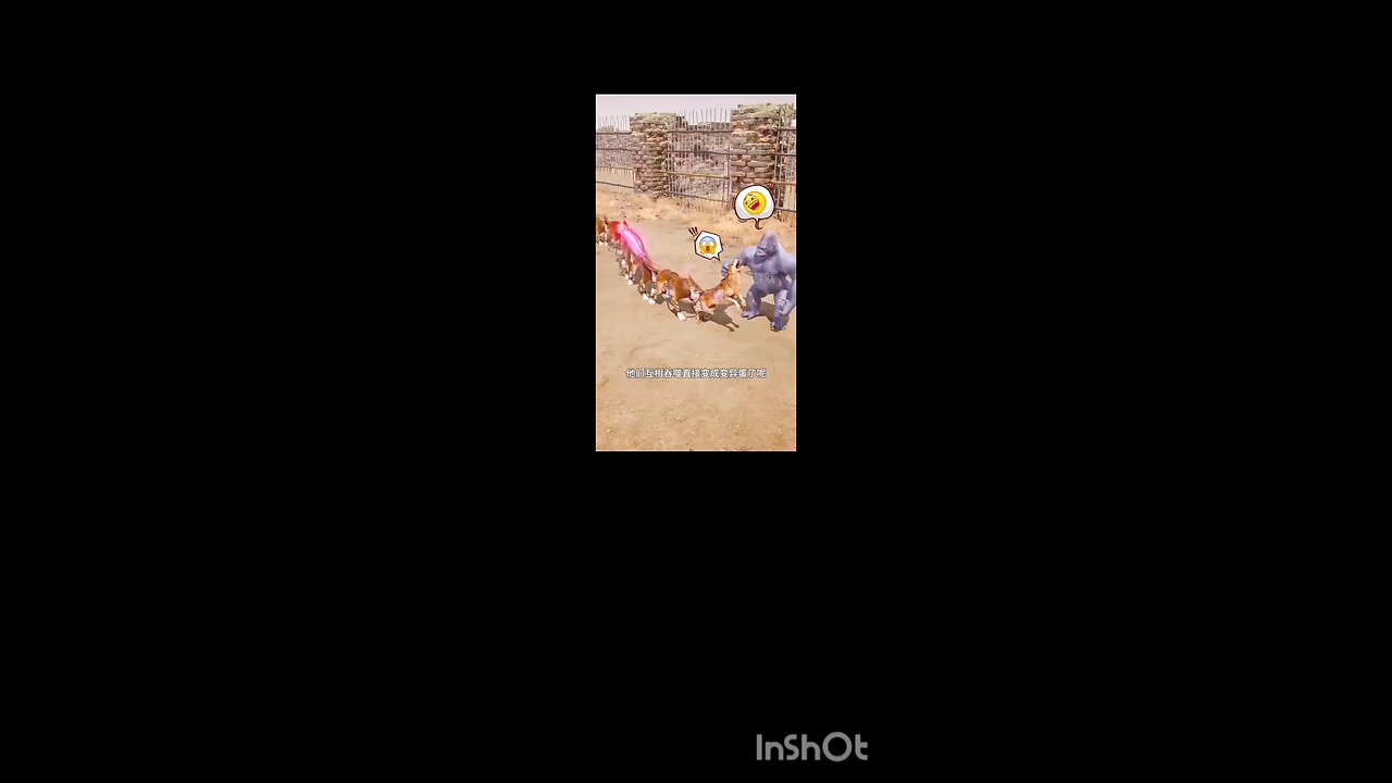 wolfand monkey #short #virls #fyp