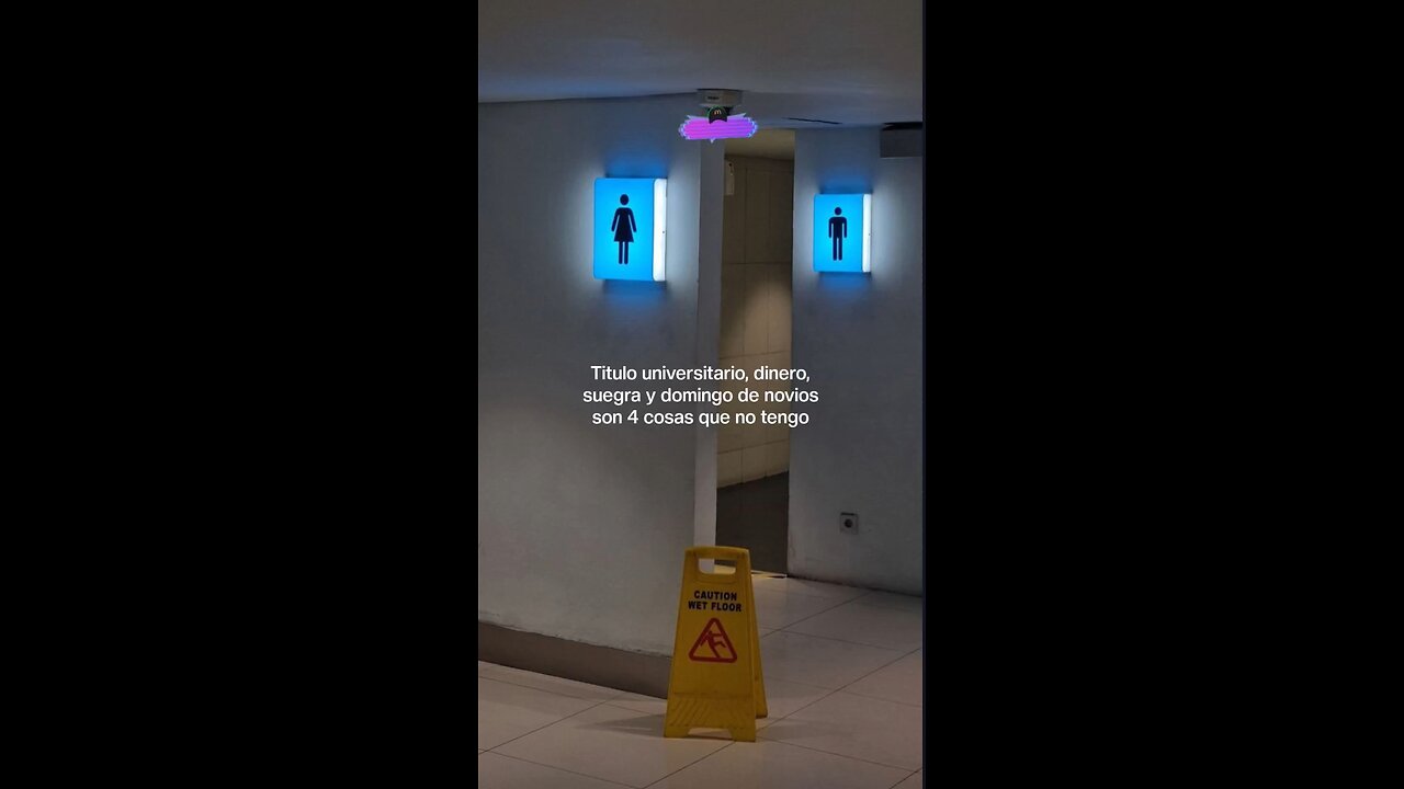 195/365 días | 😎