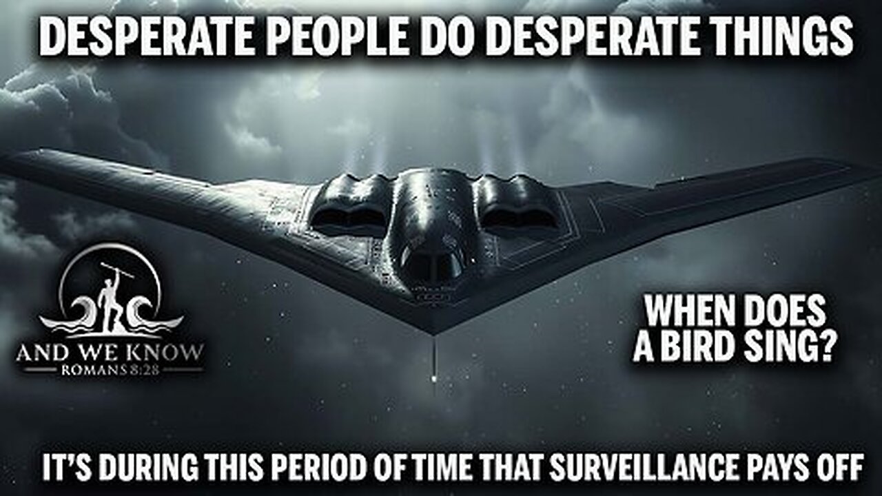 Desperate People do Desperate things, FLY[RR]FLY, When does a BIRD SING?