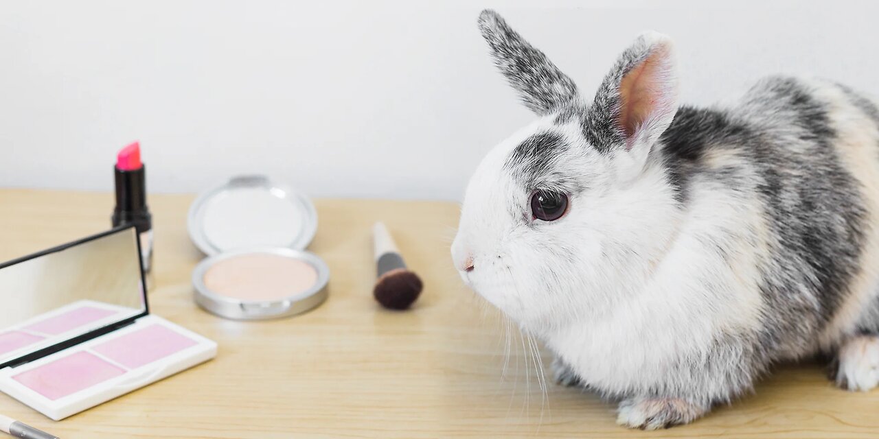 Animal testing – vicious or beneficial