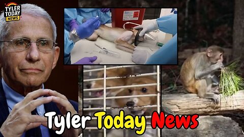 The US government has continued funding horrors beyond your imagination against animals