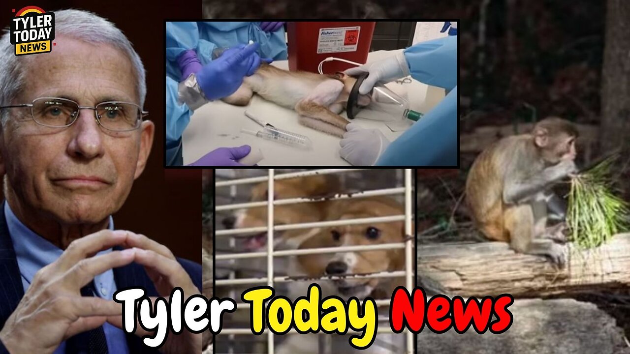 The US government has continued funding horrors beyond your imagination against animals