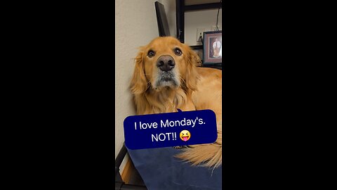 I love Monday's. NOT!! 😝