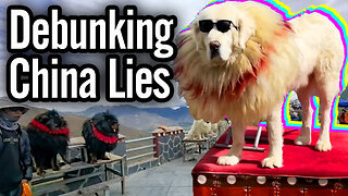 China fakes doggos
