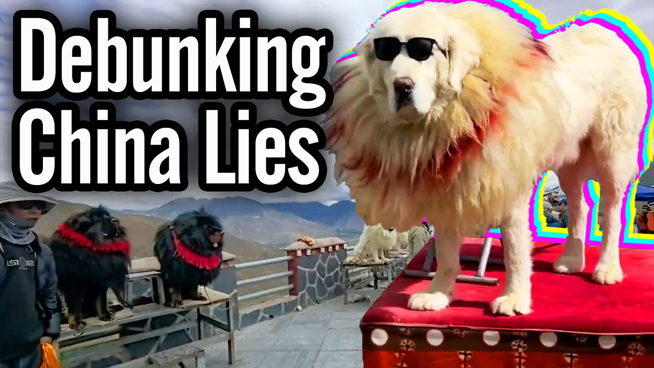 China fakes doggos