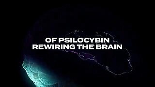 Neuroscience JUST Did the IMPOSSIBLE with Consiousness and Magic Mushrooms