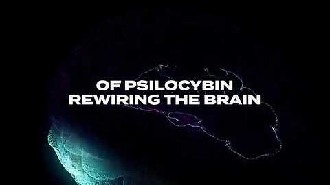 Neuroscience JUST Did the IMPOSSIBLE with Consiousness and Magic Mushrooms