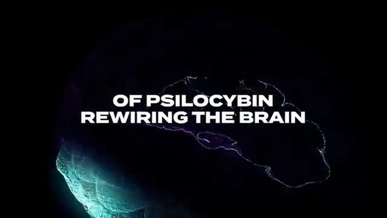 Neuroscience JUST Did the IMPOSSIBLE with Consiousness and Magic Mushrooms