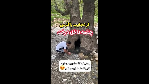 waterfall in tree