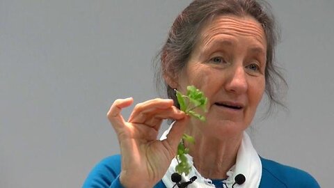 "Barbara O’Neil: The Health Guru Banned for Sharing Genuine Remedies in Her Homeland"