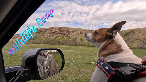 Wildlife Loop with Trax