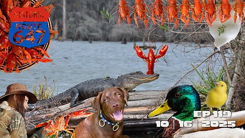 Tehran's Tribute, Bible Boom, Vatican Surprises, and SCOTUS Drama w/Cajun Spice | 647 Episode 119