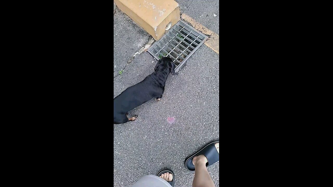 잘걷는다 매력녀 😘 Take a nice walk