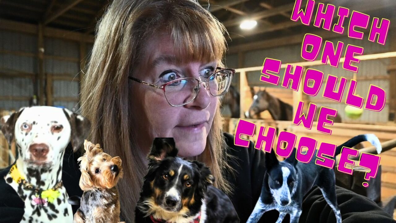 We Can ONLY Keep ONE Dog! Who Will We CHOOSE
