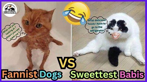 This Moment Will Melt Your Heart 💘 - 🐶Funniest Dogs & Sweetest Babies