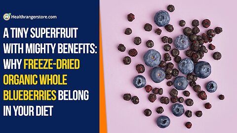 Why Freeze-Dried Organic Whole Blueberries belong in your diet