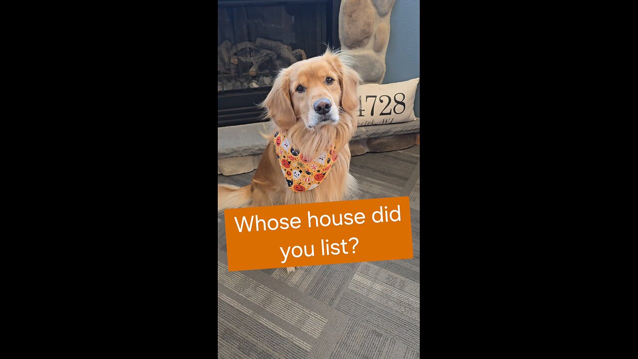 Lake views without the lake taxes! 👍