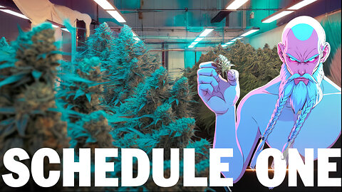 The Future of Psychedelics: Schedule 1 ep. 4