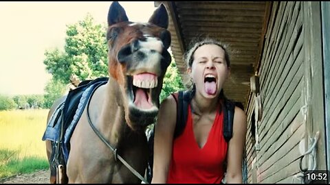 Horses Being Silly with Their Humans 🤪 Funniest ANIMAL Videos