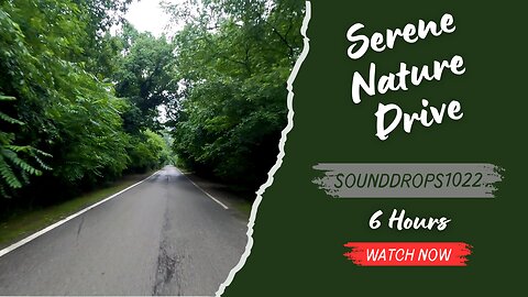 6 Hours of Serene Nature Drive Atmosphere