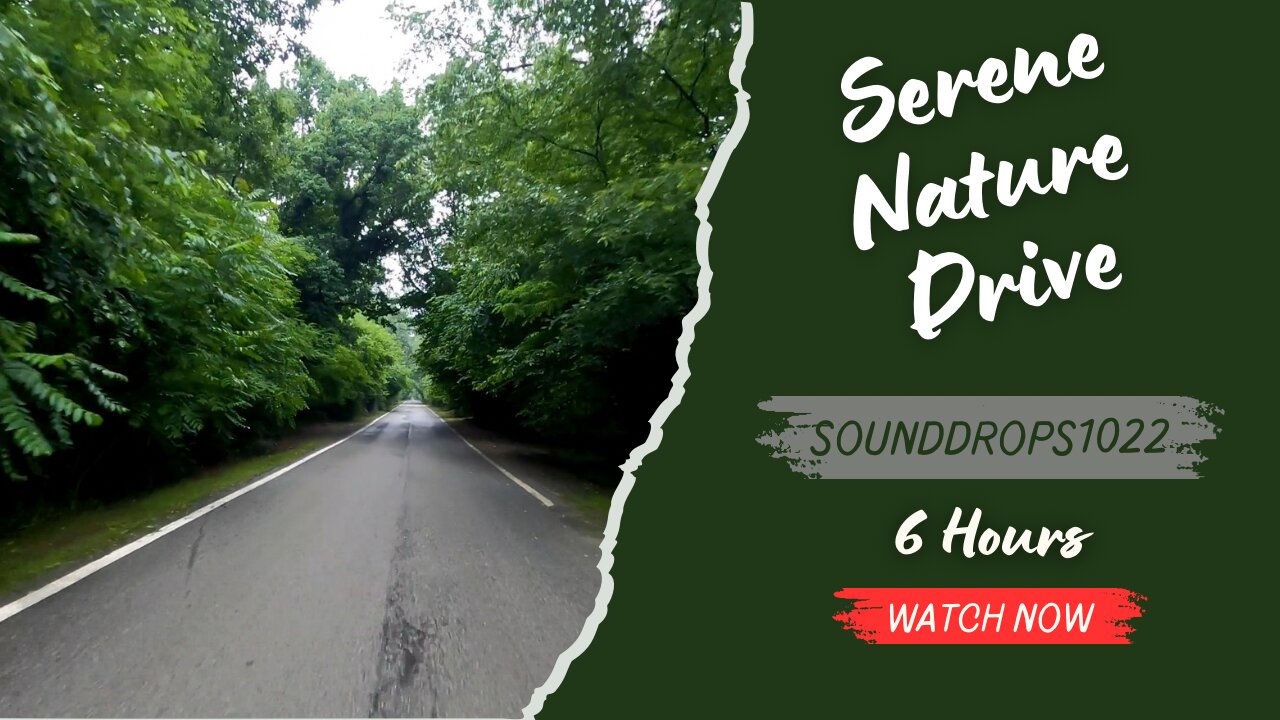 6 Hours of Serene Nature Drive Atmosphere