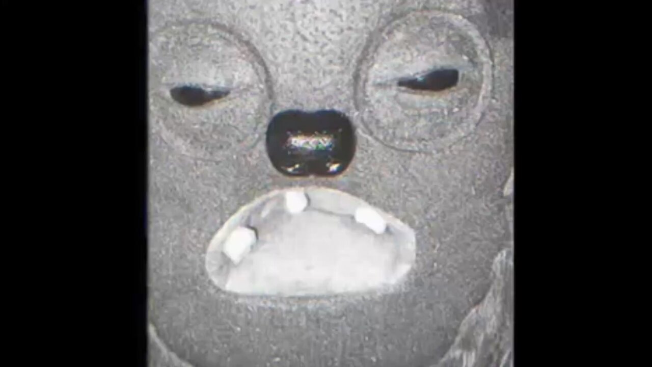 Try not to get scared