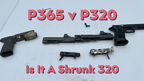 Its Not A Smaller 320 | P320 v P365 FCU Comparison