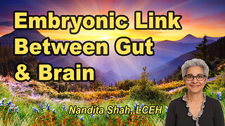 Embryonic Link Between Gut and Brain