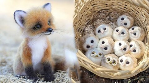 Cute Baby Animals Videos Compilation #10