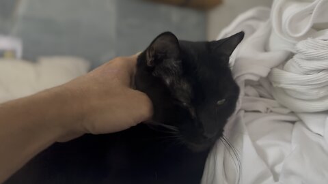 She luhs Clean Sheets and Clean Human