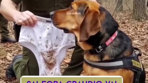give a little smell