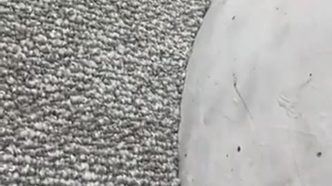 ✨🧹 Genius Trick to Clean Carpet Around Poles! You Have to See This | FeedMyCuriosity