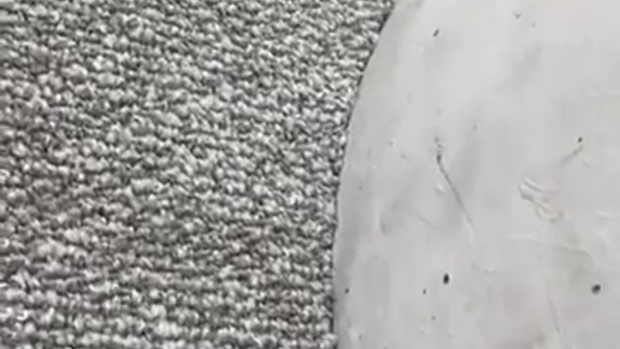 ✨🧹 Genius Trick to Clean Carpet Around Poles! You Have to See This | FeedMyCuriosity