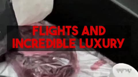 Mighty Travels Premium best practices: Fly Business & 5-Star. Get started free!