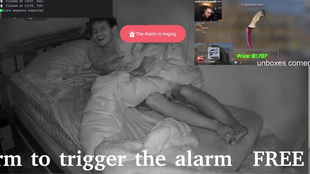 Spencer is a nuisance streamer at home (gabba2)