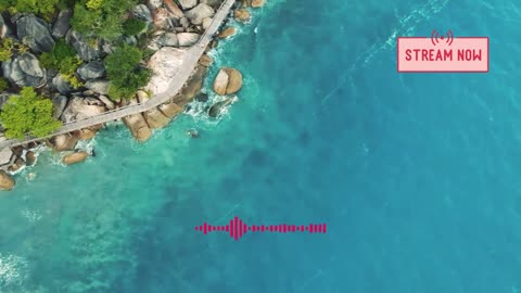 Beach Party | Electronic House Music 2025 | Tropical Vibes for Summer