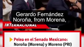 (México) Representantes de Morena y el PRI se fueron a los golpes en plena sesión del Senado