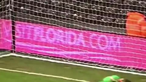 Amazing goalkeeper