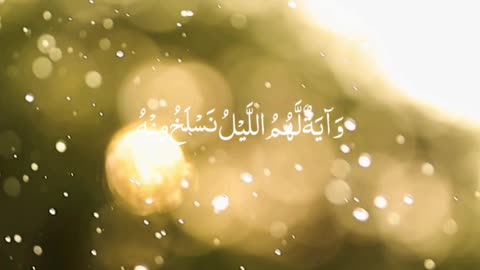 🔥 Surah Yā-Sīn 36:36–38 — سورة يس⚡🌍✨#Quran #SurahYasin #shorts #viral #love #YouTubeShorts