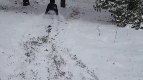 Box Sledding