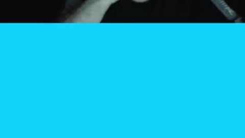 Nissan Car and Godzilla Epic Look