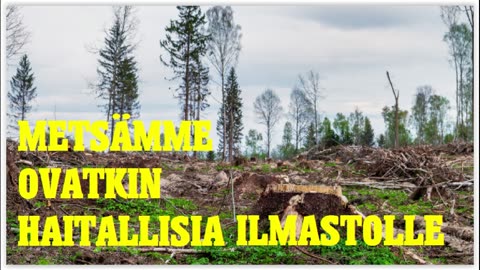 Metsämme ovatkin nyt haitallisia ilmastolle