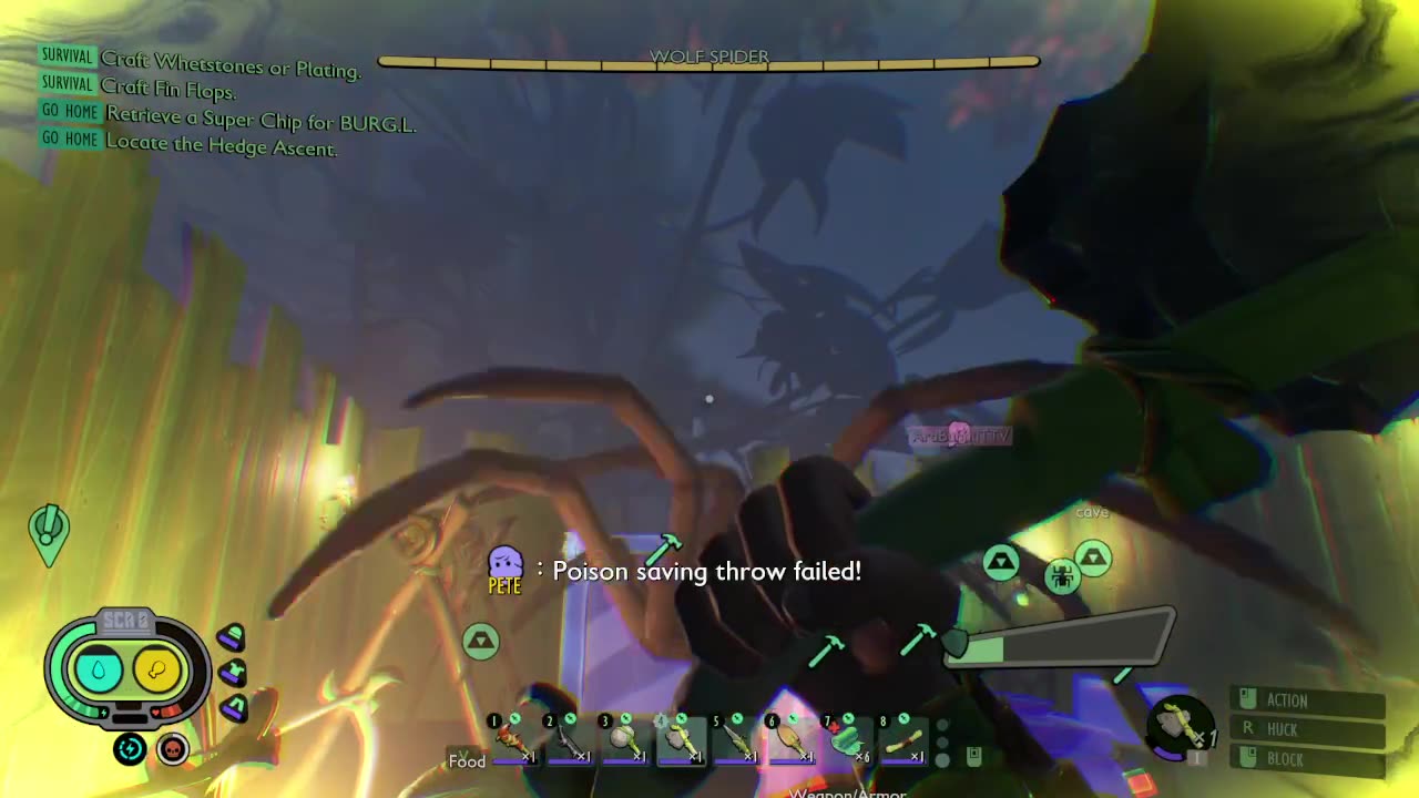 Spider Make Me Scream