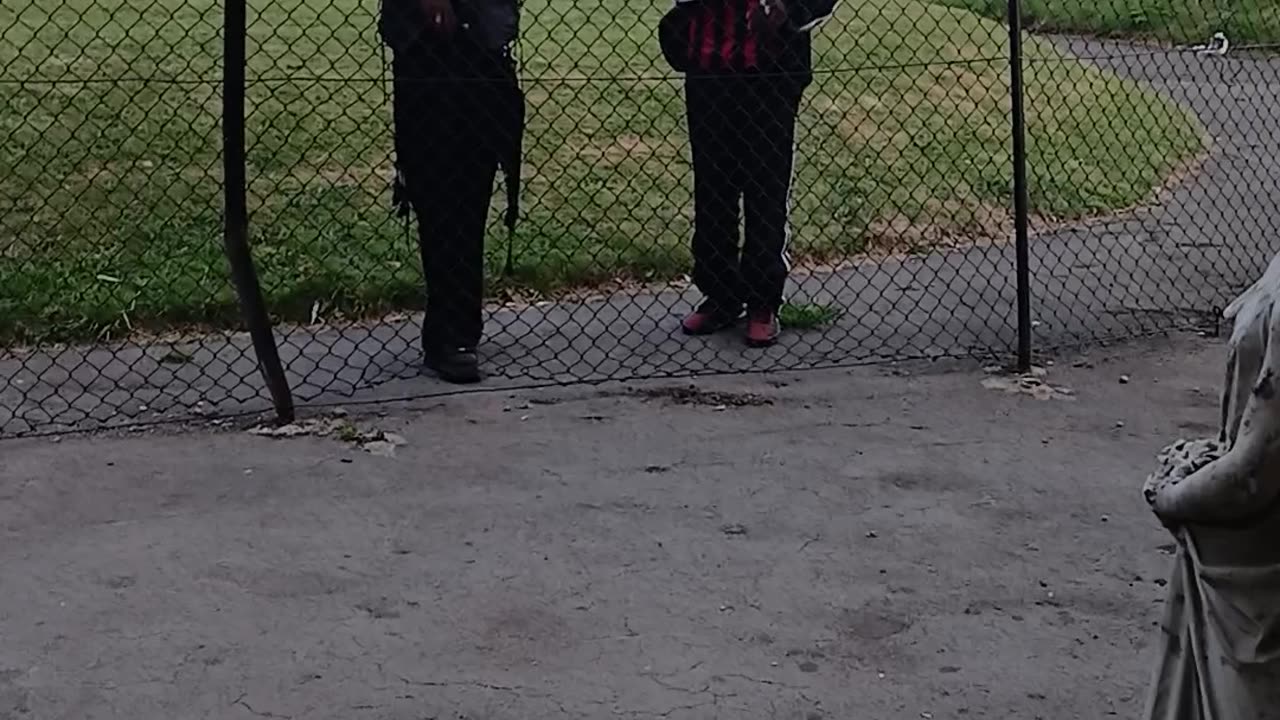 These two were stuck on the barbed wire breaking in then decided to ask politely