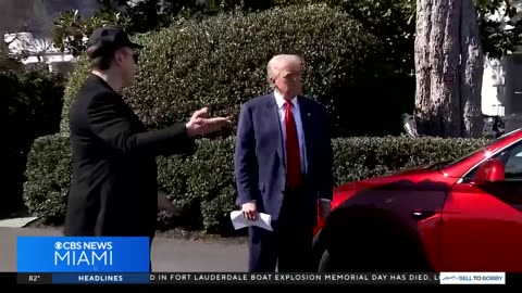 Absolutely Not - Musk vs. Trump