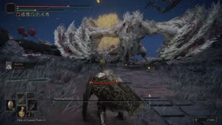 Elden Ring NG+1 | Decaying Ekzykes boss fight w/Mimic Tear #eldenring #eldenringbossguide