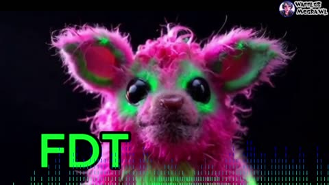 FDT lofi Jams, Relax, Focus
