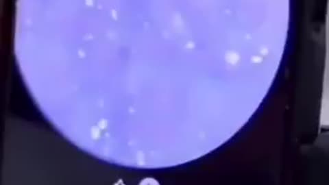All vaxxes
